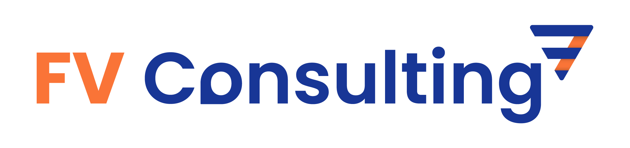 FVConsulting